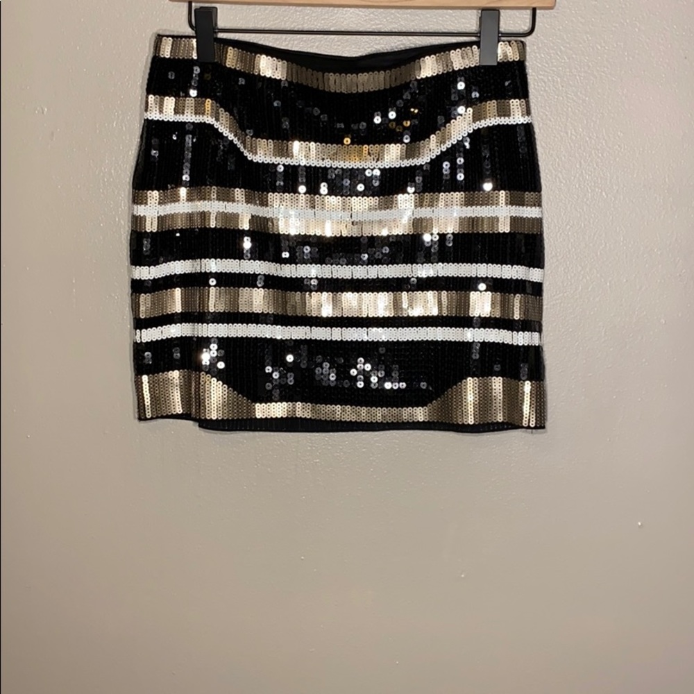 Express Skirt